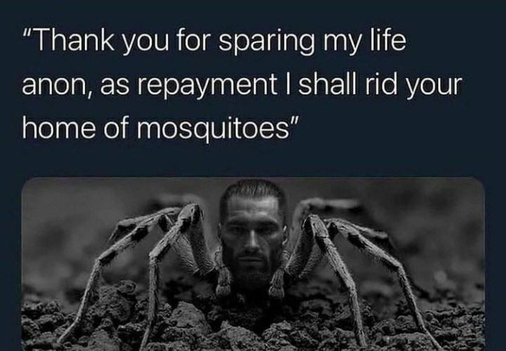 Muscular man with a spider body thanks for saving him.