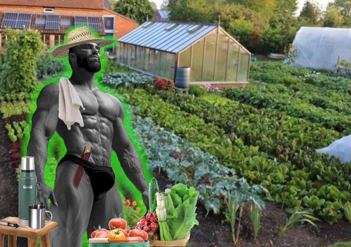 GigaChad Meme